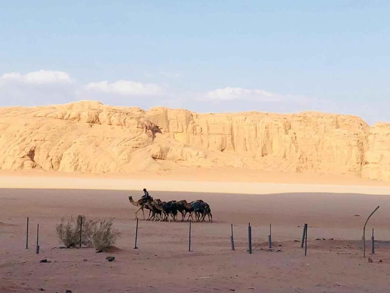 Landscape Rum Camp Otel Ram Vadisi Dış mekan fotoğraf